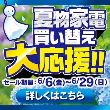 6月特招会
