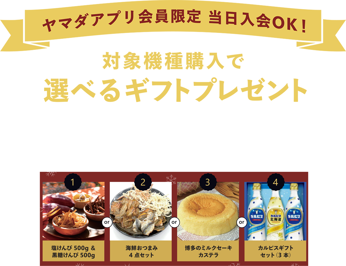 【期間限定】対象機種購入で選べるギフトプレゼントキャンペーン 〈キャンペーン期間〉2023年12月1日（金）～12月31日（日）1.塩けんぴ500g&黒糖けんぴ500g 2.海鮮おつまみ4点セット 3.博多のミルクセーキカステラ 4.カルピスギフトセット（3本）