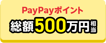 PayPayポイント