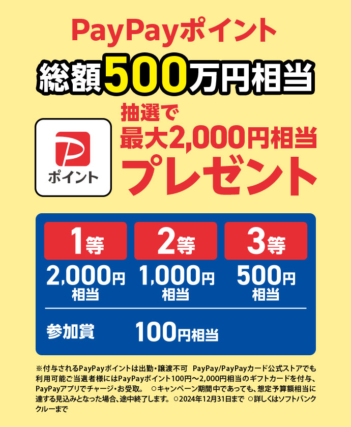 PayPayポイント