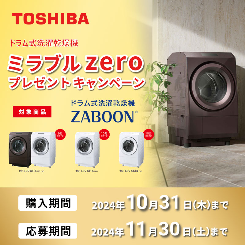 TOSHIBA ドラム式洗濯乾燥機 守れる 11.0kg 7.0kg TW-117A7L-W 2019年